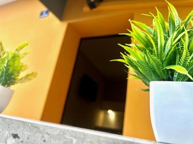 טריאסטה Residence Zar 8 מראה חיצוני תמונה