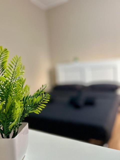 טריאסטה Residence Zar 8 מראה חיצוני תמונה